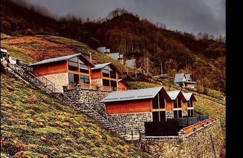 Ardesen Hotel | Vadi Ahşap Doğa Evleri