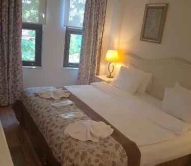 Sultanahmet Hotel | Arena Modern Hotel