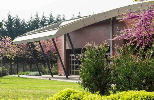 Yomra Hotel | Novotel Trabzon