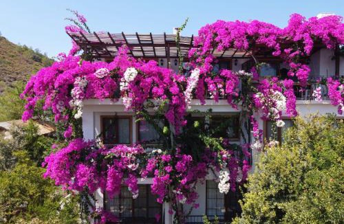 Datca Hotel | Liman Pansiyon Palamutbükü