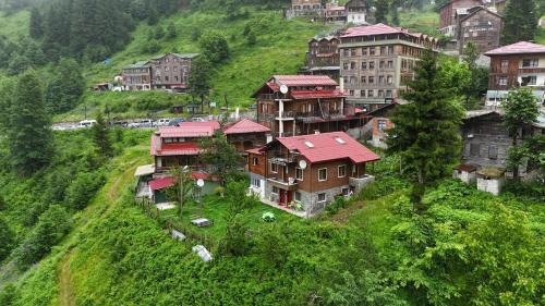Ayder Yaylasi Apartment | Ayder Palas Apart Hotel