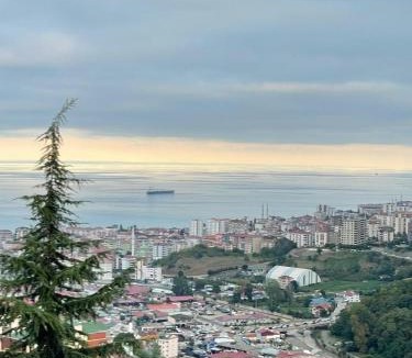 Akcaabat Villa | Yeşilliğin İçindeki Aradığınız Huzur