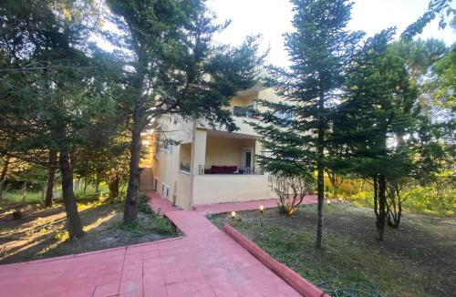 Arnavutkoy House | Goat house near the airport