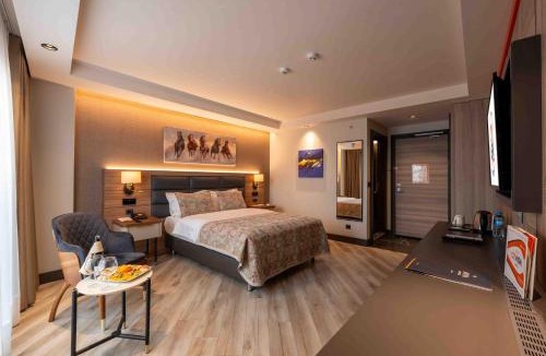 Bandirma Hotel | CITY ASYA HOTEL