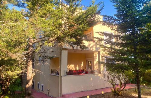 Arnavutkoy House | Goat house near the airport