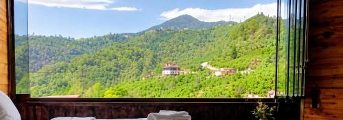 Arnavutkoy Villa | forest villa, 6 minutes from the airport
