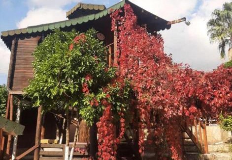 Olympos Hotel | arzum bungalovs