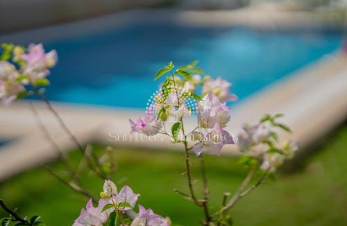 Fethiye City Center Hotel | SunTeos Villa Suites