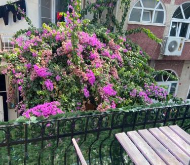 Adalar House | Büyükada Çarşı Pansiyon