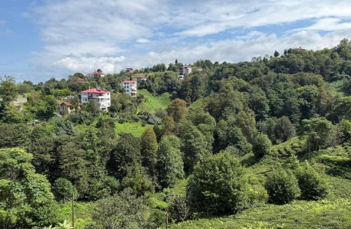 Pazar Apartment | Huzur Apart