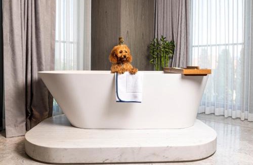 Kabatas Hotel | The Maestro Hotel