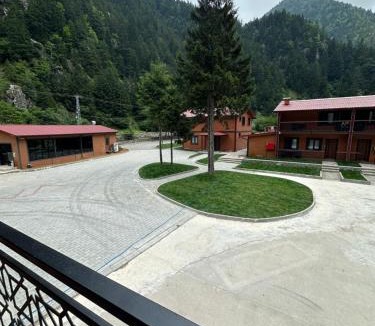 Uzungol Hotel | Vadi Bungalow