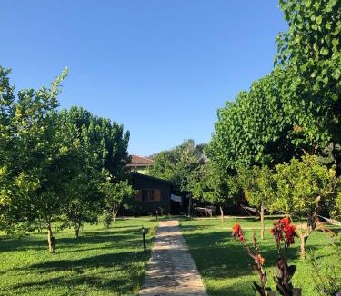 Cirali Resort | Ozge Bungalow Hotel