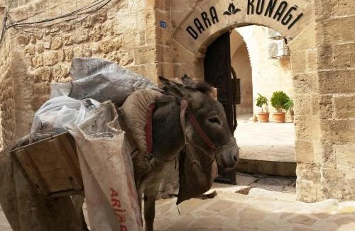 Artuklu Hotel | Dara Konagı