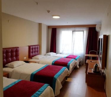 Osmangazi Hotel | BURSA ŞAHiN HOTEL