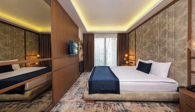 The Alpfine Hotel in Ankara