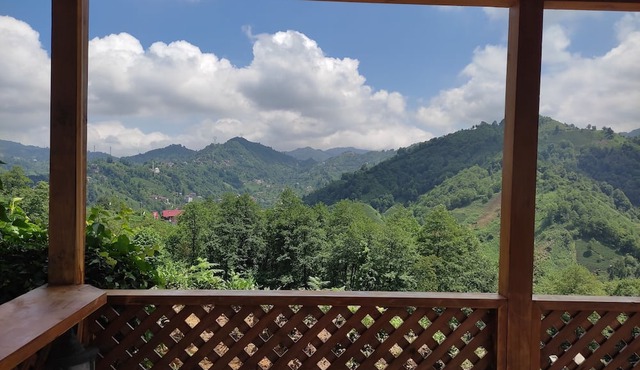 A House with Garden and Summerhouse in Nature in Çayeli