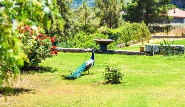 Greenery Home with Shared Pool in Marmaris in Marmaris