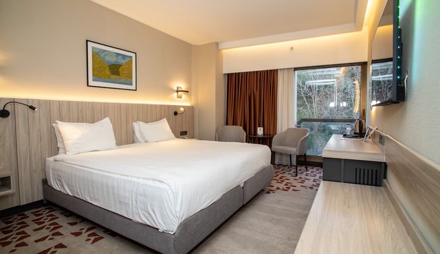 Best Western Plus Hotel Konak