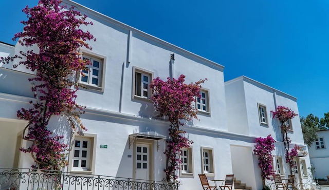 Manzara Boutique Hotel in Bodrum