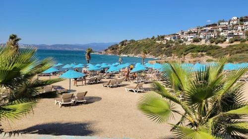 Sea view and private POOL Villa SELEN in Bogazici