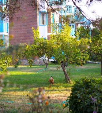 Yonca Lodge in Fethiye