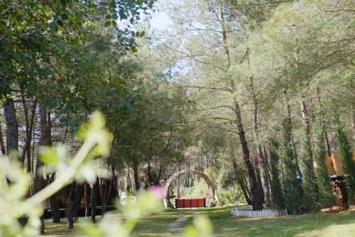 Mossa Afkule Kayaköy in Fethiye